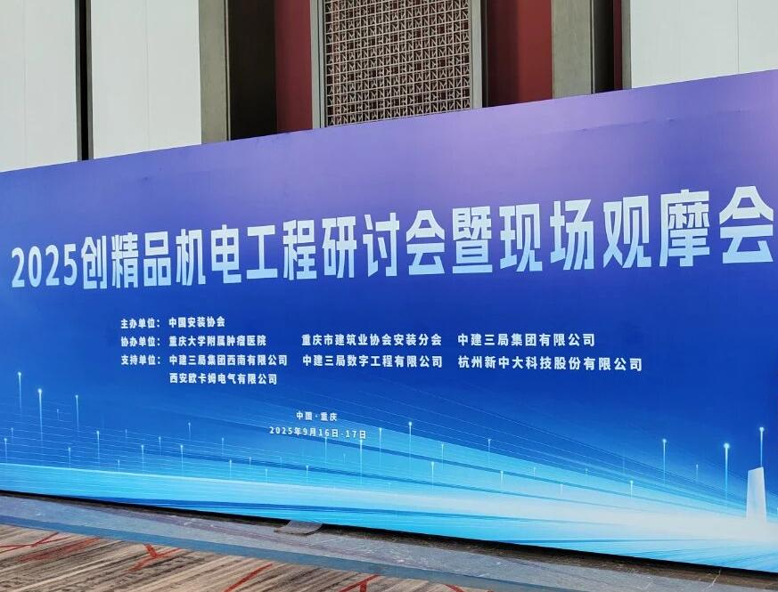 中国安装协会2025创精品机电工程研讨会暨现场观摩会.jpg